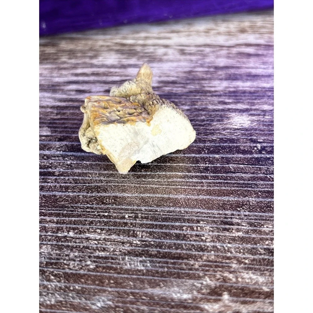 2 Mice in‎ Block of Cheese 1 Inch Vintage Cermic Figurine